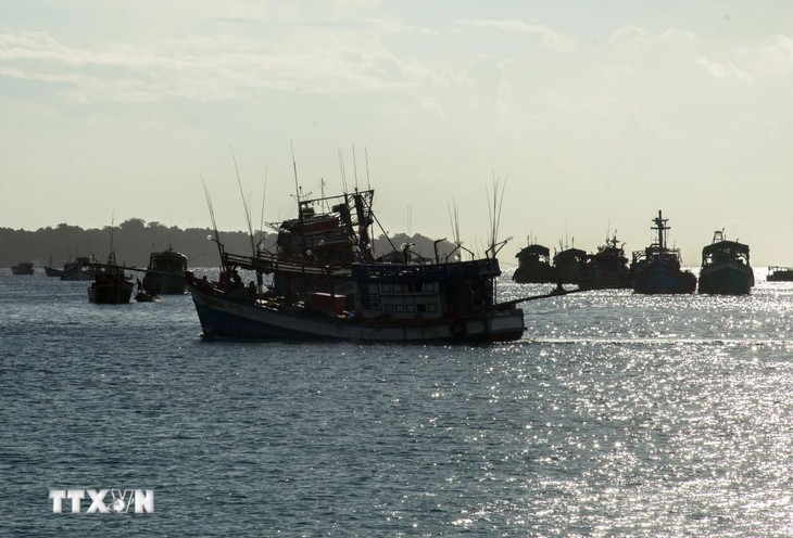 Vietnam makes suitable efforts to prevent IUU fishing: WTO expert - ảnh 1