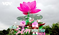 Second Dong Thap lotus festival opens