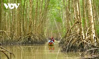 Ca Mau farmers rely on forests to develop sustainably