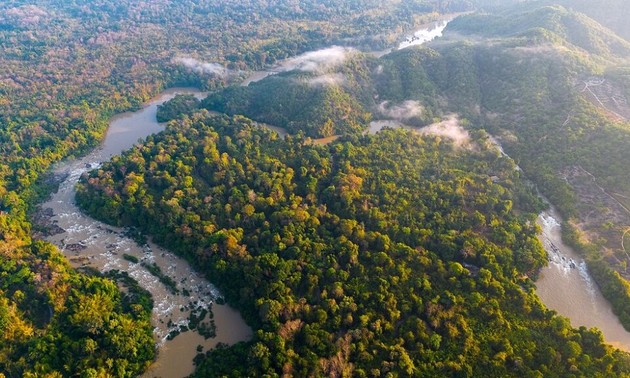 Le parc national de Cat Tiên: Émerveillement au cœur de la nature