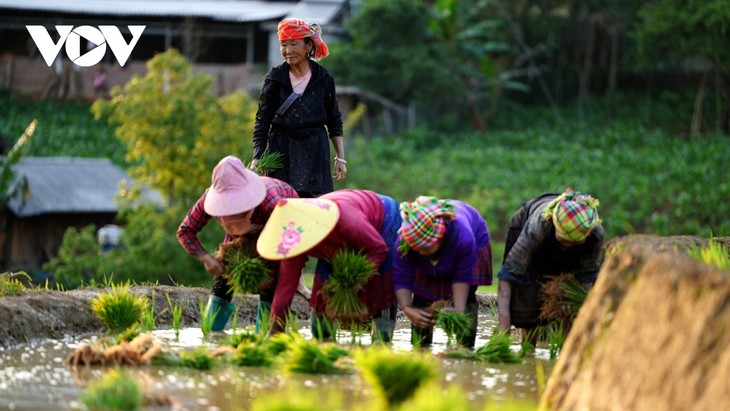 Mù Cang Chải mùa nước đổ - Bức tranh thủy mặc nơi vùng cao Tây Bắc - ảnh 2