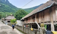 Les maisons sur pilotis des Thai de Thanh Hoa