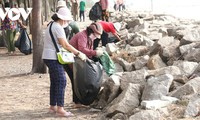 HCMC promotes green investment attraction, carbon credit market 