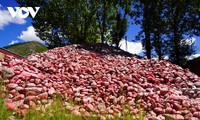 Mani stone mounds feature typical cultural characteristics of Tibetans