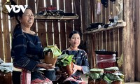 The art of making stem liquor by Bahnar women 