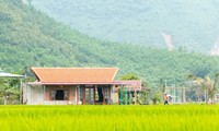 Thanh niên Đà Nẵng khởi nghiệp từ mô hình du lịch homestay