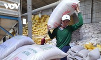 L’exportation de riz du Vietnam durant le premier trimestre de 2024