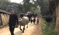 Rain praying ceremony of the Lo Lo