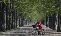 Vienne, la ville la plus agréable à vivre au monde