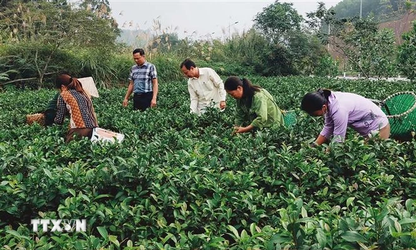 Những làng nghề truyền thống ở Yên Bái phát triển kinh tế